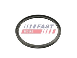 FAST Dichtring, Ladeluftschlauch FT49922