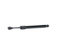 RIDEX 219G0957 Gasfeder Heckklappendämpfer für VW Touareg (7LA, 7L6, 7L7) 317mm