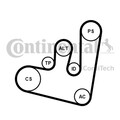 CONTINENTAL CTAM Keilrippenriemensatz 6PK1660K2 für OCTAVIA SKODA AUDI 1J1 IBIZA