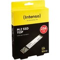 Intenso M.2 256GB SSD SATA3 Top Performance retail Festplatte Computer Notebook