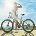 eBike 26/27,5 Zoll E-fahrrad 250W E-Mountainbike 36V 10Ah Elektrofahrrad E-Bikes