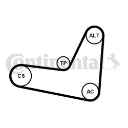 CONTINENTAL CTAM 6PK1130K3 Keilrippenriemensatz für AUDI,SEAT,SKODA,VW