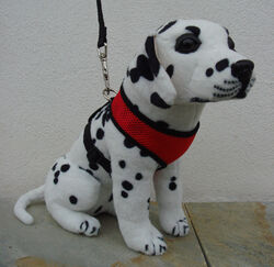 Hundegeschirr 🐱 Softgeschirr Brustgeschirr Geschirr Hund Welpengeschirr Harness
