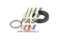 FAST FT49842 Dichtungssatz, Einspritzdüse für CITROËN  passend für FIAT FORD