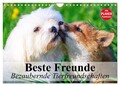 Beste Freunde. Bezaubernde Tierfreundschaften (Wandkalender 2026 DIN A4 quer), C