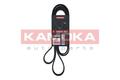 KAMOKA 7016225 Keilrippenriemen für AUDI,FORD,JEEP,MERCEDES-BENZ