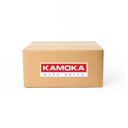 ABS-Raddrehzahlsensor Vorderachse links 1060600 KAMOKA für RENAULT LAGUNA III