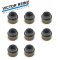 8x REINZ Ventilschaftdichtung 6mm für Audi A3 A4 A6 Q5 BMW E46 E34 E39 Skoda VW
