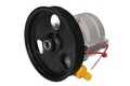LAUBER 55.3105 Servolenkung Pumpe Servopumpe für RENAULT KANGOO (KC0/1)