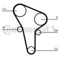 CONTINENTAL CTAM (CT513K1) Zahnriemensatz für AUDI VW