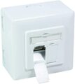 Netzwerkdose Aufputzdose Unterputzdose CAT.6a LAN Dose DSL  Aufputz Unterputz
