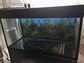 Aquarium Juwel 112 L (80x35x45cm)