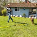 Schecker Longier Set für Hunde Ø 7 m Hundesport Hundeausbildung Nylonschnur 