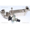 1x AGR-Ventil TRISCAN 8813 11009 passend für BMW HITACHI