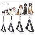 Autogurt Sicherheitsgeschirr Hundegeschirr Hund Sicherheitsgurt Autogeschir XL