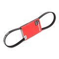 STARK SK-4PK790 Keilrippenriemen für FIAT Seicento / 600 Schrägheck (187) 790mm