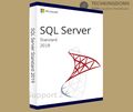 Microsoft SQL Server 2019 Standard 64 Bit 24 Core, unbegrenzte Benutzer-CALs