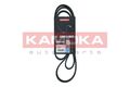 KAMOKA 7016135 Keilrippenriemen für AUDI BMW FORD MITSUBISHI OPEL RENAULT