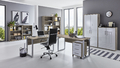 Homeoffice Büromöbel Komplettset Office Edition Set 6 in verschiedenen Farben