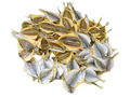 Trockenfisch | Goldband Selar | gedörrt & getrocknet | Желтый полосатик | 500g