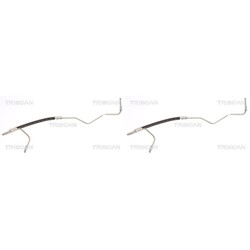 2X TRISCAN BREMSSCHLAUCH HINTEN AUßEN LINKS+RECHTS passend für CITROËN BERLINGO 