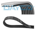 DAYCO (7PK1595) Keilriemen, Keilrippenriemen für TOYOTA LAND ROVER