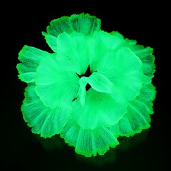  2 Count Fischtank Landschaftsdekoration Künstliche Aquariumpflanzen