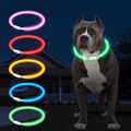 ✅ Hundehalsband LED Silikon Leuchthalsband Halsband Hunde/Katzen USB Aufladen ✅
