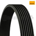 Keilrippenriemen CONTINENTAL CTAM 7PK2418 für Mercedes-Benz