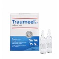 TRAUMEEL LT ad us. vet. Ampullen 5X5 ml PZN 11240641