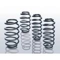 Fahrwerkssatz Federn EIBACH E10-75-008-09-22 für Renault Clio III Grandtour