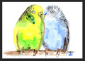 ACEO Aquarelldruck niedliche Budgie Papageien Paar in Liebe Kunst Malerei von ili