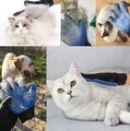 Fellpflege Handschuh Tierhaar Hund Katze Fellbürste Massage Fell Bürste, Silikon