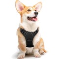 Hundegeschirr Grosse Hunde Anti Zug Reflex Sicherheit Schwarz M