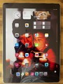 Apple iPad Pro 2. Gen 256GB, Wi-Fi, 12,9 Zoll - Displayschaden