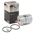 Kraftstofffilter CHAMPION CFF100132 für FORD SIERRA (GBG, GB4) GRANADA (GU)