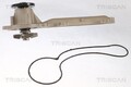 TRISCAN Wasserpumpe Motorkühlung 8600 23085 für SMART FORTWO 451 330 334 331 380