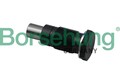 Borsehung B19308 Steuerkettensatz für Audi Seat Vw Skoda
