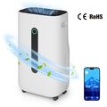 Puluomis Elektrisch Luftentfeuchter 20L/Tag Entfeuchtung Raumentfeuchter APP