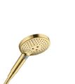 Hansgrohe Handbrause Raindance Select S 120 EcoSmart Polished Gold Optic, 265319