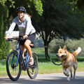 Teleskop Führhalter Abstandhalter Expander Flexible Fahrradhalter Fahrradleine