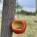 Vogelfutterhaus Futterstation 'Angebissener Apfel' Outdoor Hängend für Garten