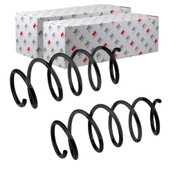 2X NK FAHRWERKSFEDERN HINTEN BEIDSEITIG PASSEND FÜR FORD FUSION | 542556