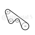 CONTINENTAL CTAM Keilrippenriemen Spannrolle Umlenkrolle 5PK1150K1