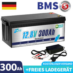 12V 300Ah LiFePO4 Lithium Batterie Solar Wohnmobil Boot Akku BMS 15000+Zyklen