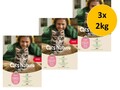 Mera Cat Nature Kitten Lachs | 3x 2kg Kittenfutter Sparpack