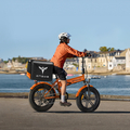 ENGWE EP-2BOOST 20 Zoll E-Bike Elektrofahrrad 250W E-Mountainbike Fat Bike 