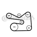 CONTINENTAL CTAM Keilrippenriemensatz für AUDI SEAT SKODA VW