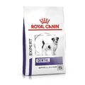 Royal Canin Expert Dental Small Dogs 3,5 kg | kleine Hunde | Zahnfleisch 
