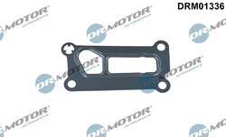 DR.MOTOR AUTOMOTIVE Dichtung, Ölfiltergehäuse  u.a. für FORD, FORD USA, JAGUARDie Nr.1* für Autoteile: Top-Preis-Leistungs-Verhältnis